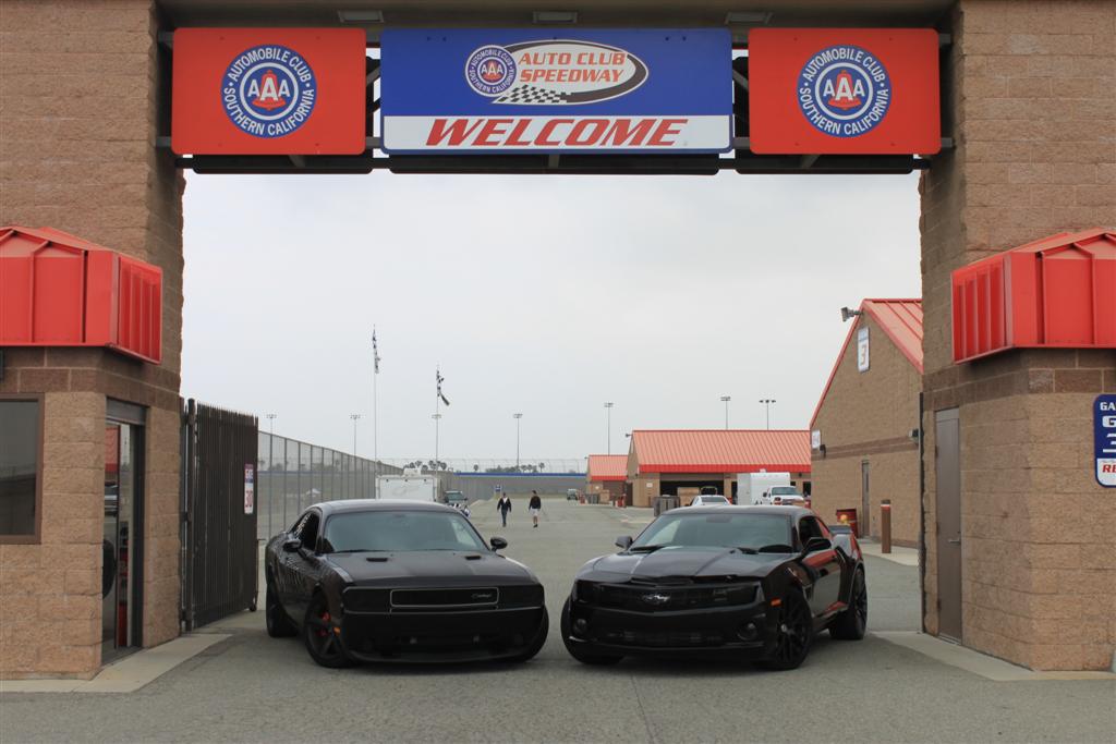 Name:  IMG_6072 (Large).JPG
Views: 2343
Size:  95.4 KB