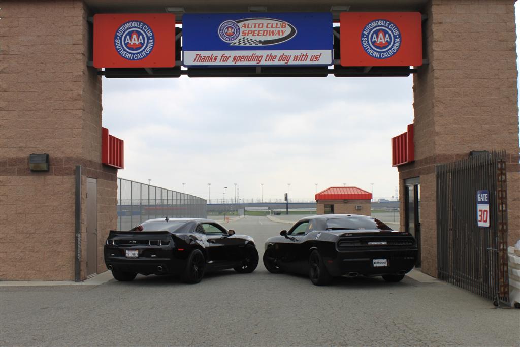 Name:  IMG_6091 (Large).JPG
Views: 2372
Size:  96.8 KB