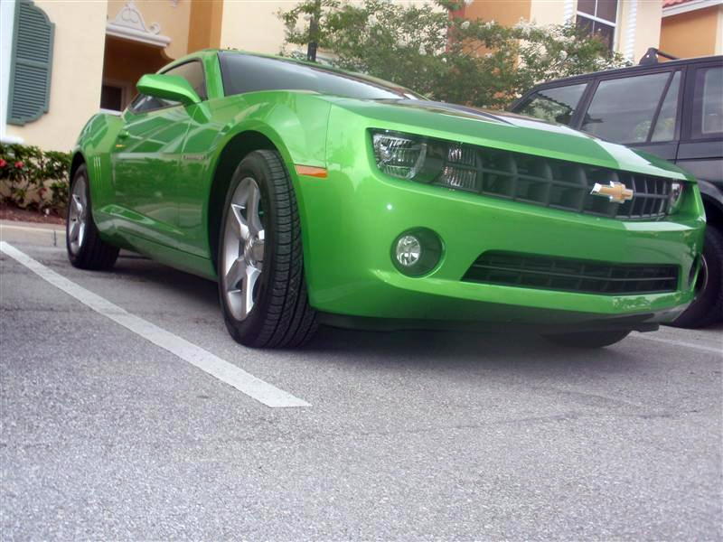 Name:  P6050242 (Medium).JPG
Views: 313
Size:  86.9 KB