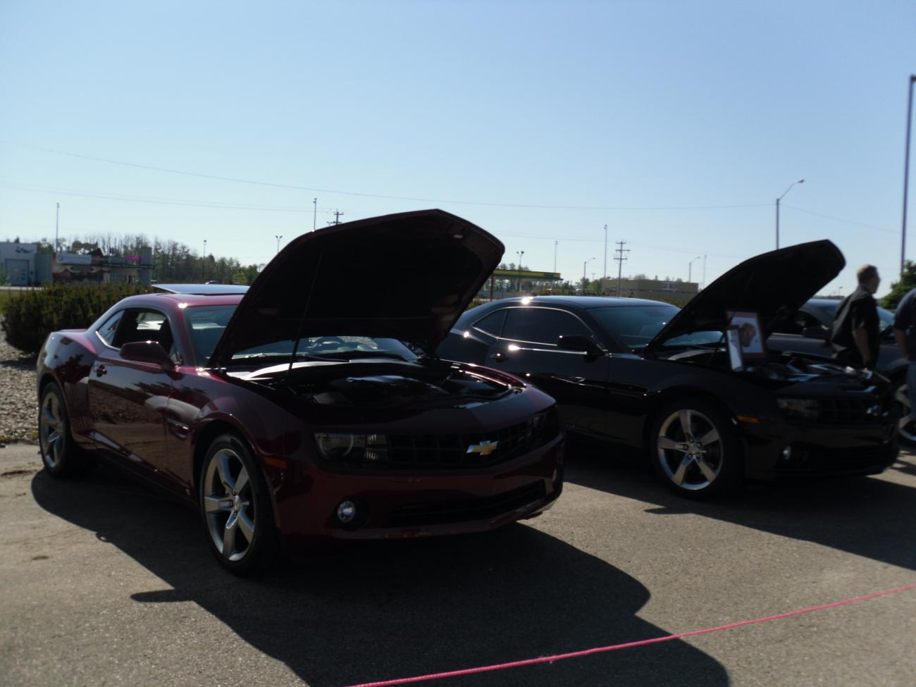 Name:  SDC10137.jpg
Views: 374
Size:  90.9 KB