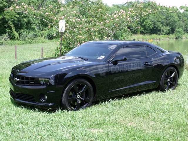 Name:  Grass Left Post.JPG
Views: 1926
Size:  168.7 KB