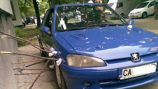 Name:  imagescurb_20feelers_small.jpg
Views: 363
Size:  55.1 KB