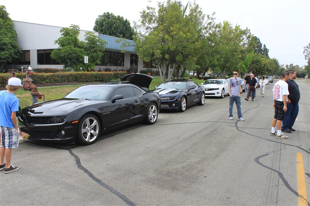 Name:  IMG_8249 (Custom).JPG
Views: 1396
Size:  143.2 KB