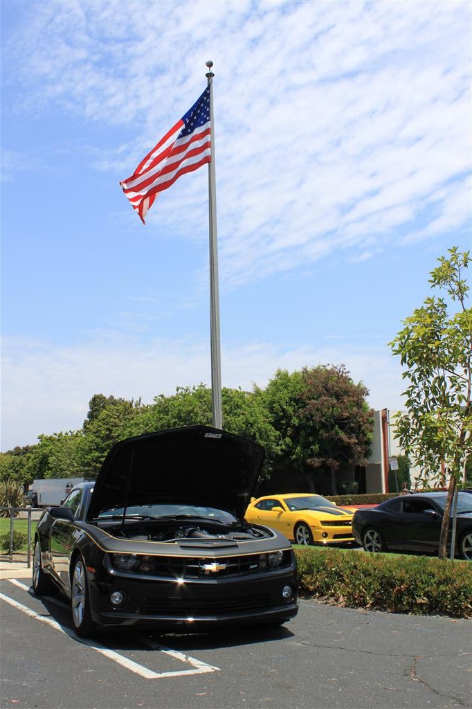 Name:  IMG_8514 (Custom).JPG
Views: 1364
Size:  185.6 KB