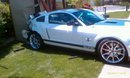 Name:  super snake.jpg
Views: 378
Size:  7.1 KB