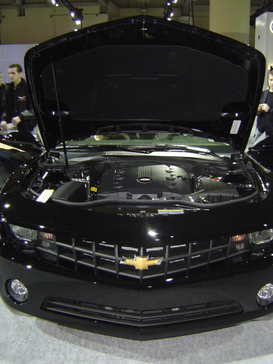 Name:  DSC03745.jpg
Views: 1777
Size:  122.4 KB