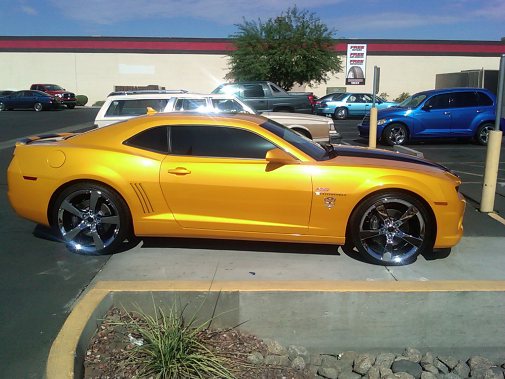 Name:  Bees New 22 Inch Shoes.jpg
Views: 1144
Size:  186.2 KB