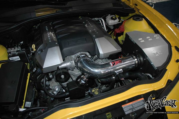 Name:  silva16.jpg
Views: 25042
Size:  76.5 KB