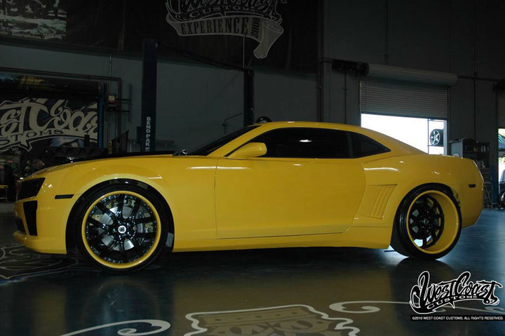 Name:  silva17.jpg
Views: 27422
Size:  69.5 KB