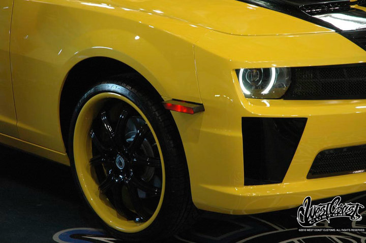 Name:  silva18.jpg
Views: 25021
Size:  70.1 KB