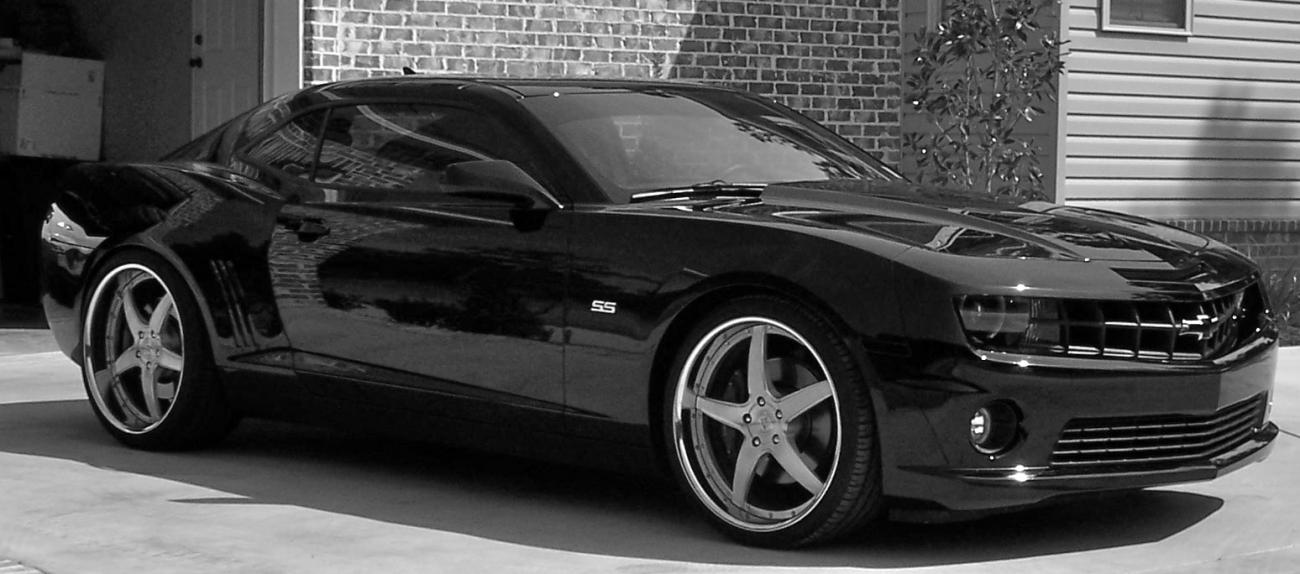 Name:  100_0798.jpg
Views: 575
Size:  97.2 KB