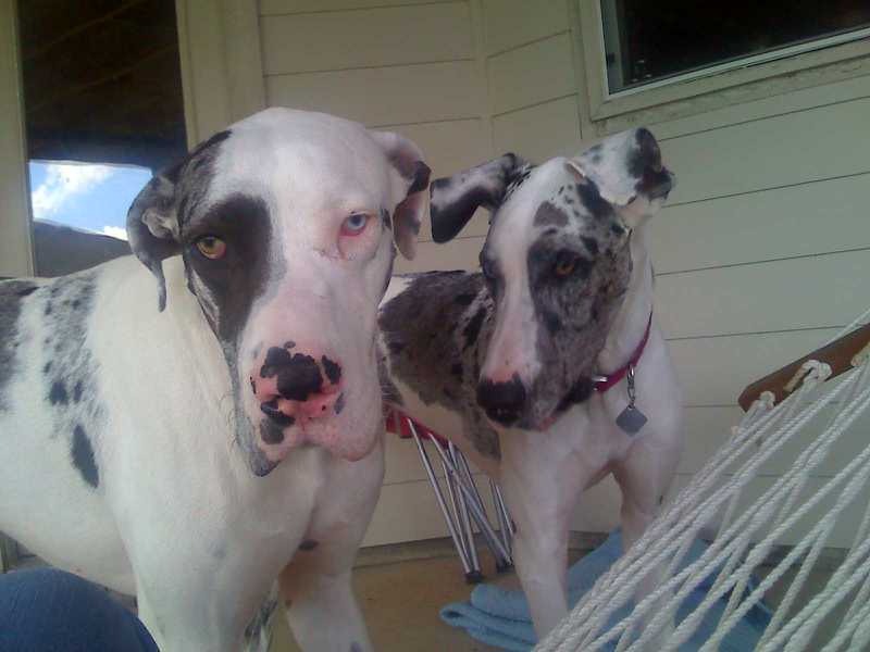 Name:  017.JPG
Views: 875
Size:  45.0 KB