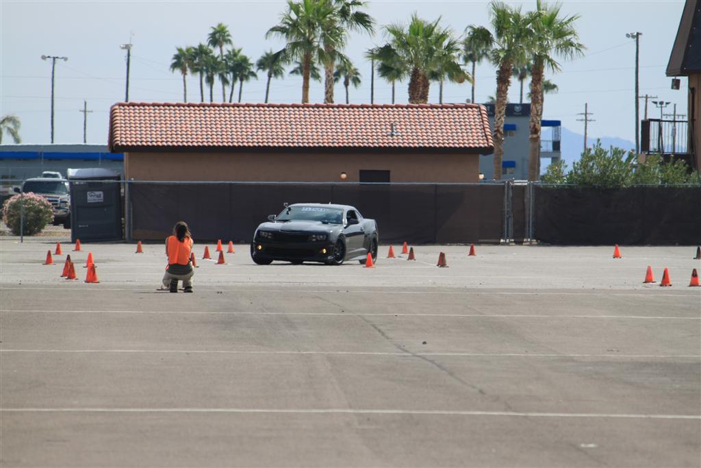 Name:  IMG_0491 (Large).JPG
Views: 306
Size:  98.4 KB