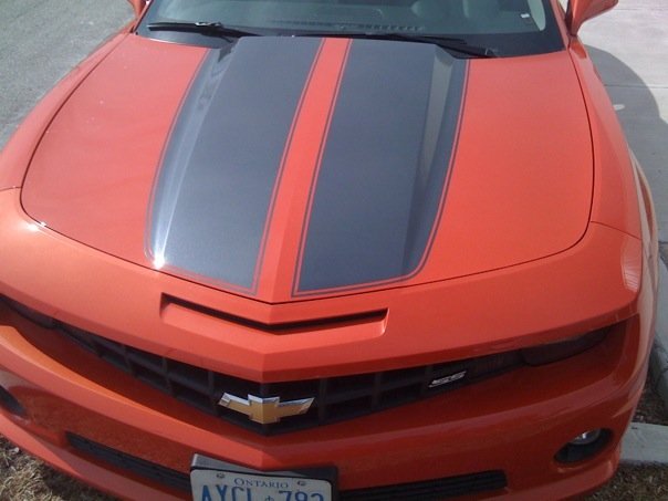 Name:  o17.jpg
Views: 3390
Size:  40.1 KB