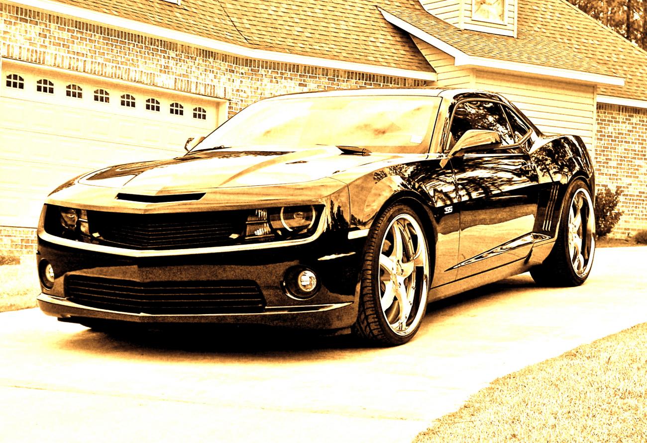 Name:  100_0847.jpg
Views: 684
Size:  233.3 KB