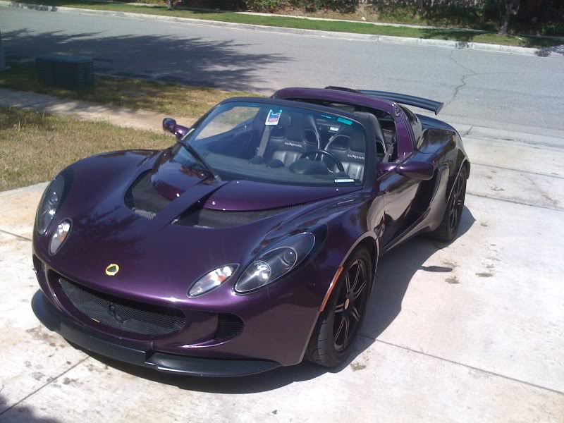 Name:  Purplelotus.jpg
Views: 3233
Size:  85.6 KB