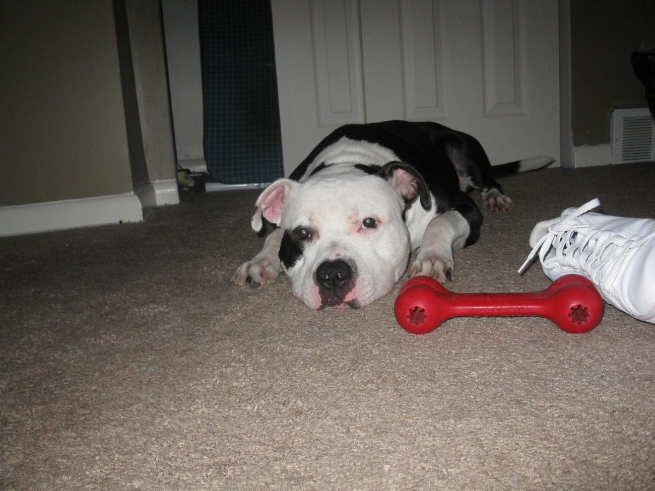 Name:  IMG_0116.jpg
Views: 368
Size:  160.1 KB