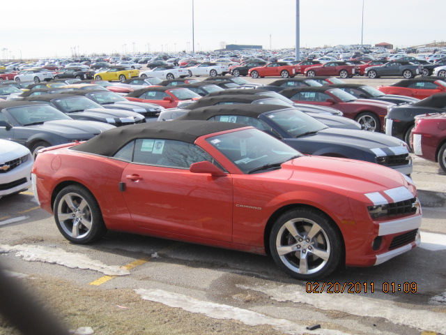 Name:  IMG_1793.JPG
Views: 5902
Size:  132.2 KB