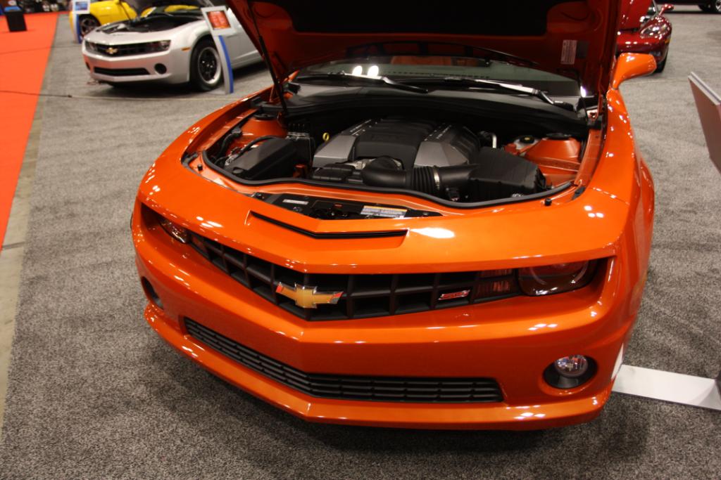 Name:  bright orange 2.jpg
Views: 5151
Size:  115.6 KB