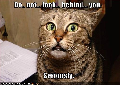 Name:  funny-pictures-dont-look-behind-cat.jpg
Views: 480
Size:  35.8 KB