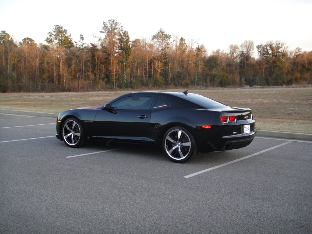 Name:  DSC01010.JPG
Views: 3774
Size:  300.3 KB