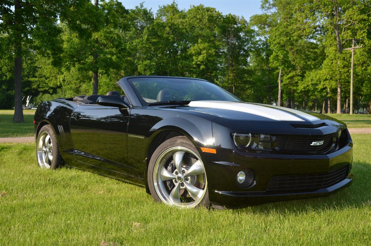 Name:  DSC_0263 (Large).jpg
Views: 2835
Size:  222.4 KB