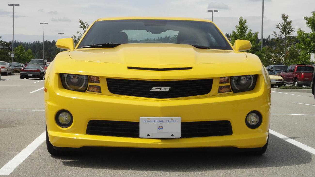 Name:  DSC01230.jpg
Views: 3492
Size:  105.4 KB