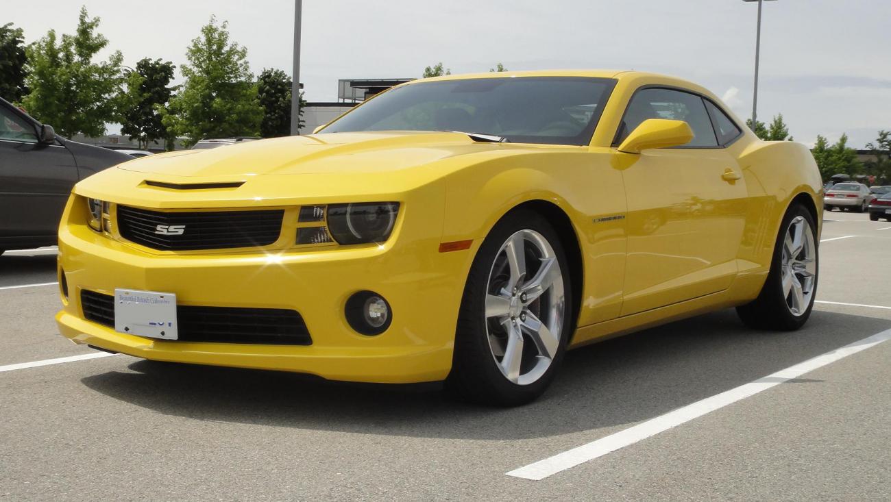 Name:  DSC01231.jpg
Views: 3685
Size:  120.2 KB