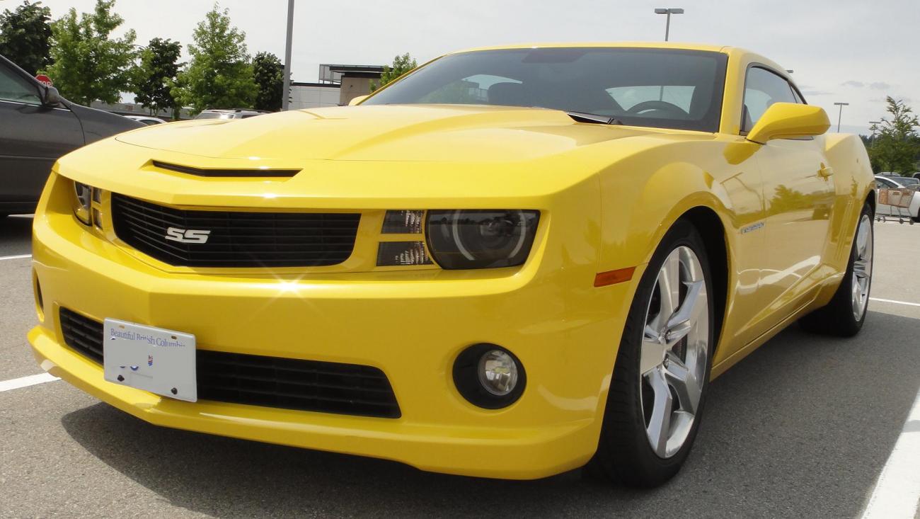 Name:  DSC01232.jpg
Views: 3432
Size:  110.8 KB