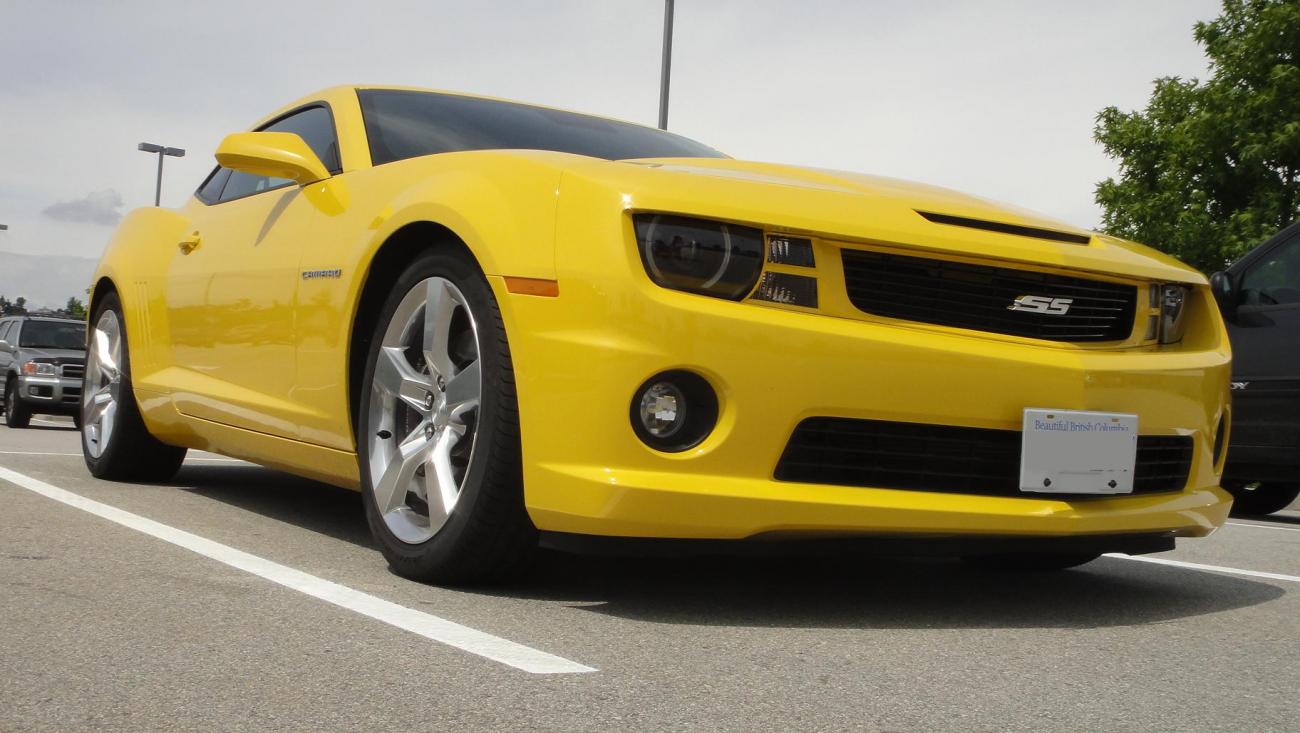 Name:  DSC01236.jpg
Views: 3362
Size:  110.2 KB