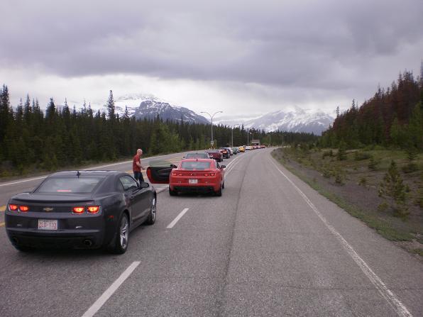 Name:  P6120100r.JPG
Views: 638
Size:  44.2 KB