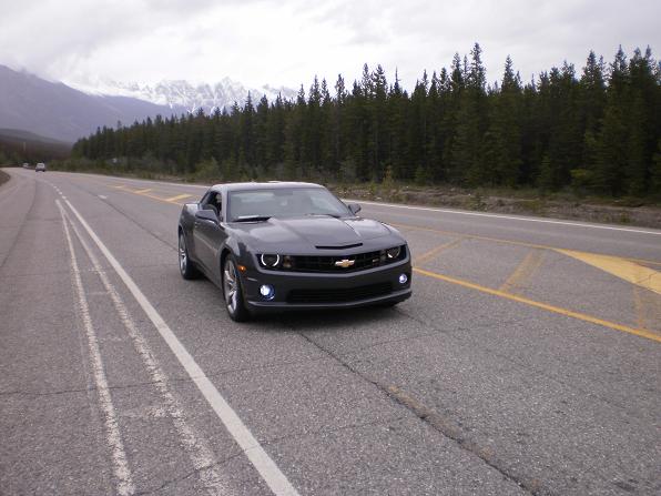 Name:  P6120102r.JPG
Views: 590
Size:  53.6 KB