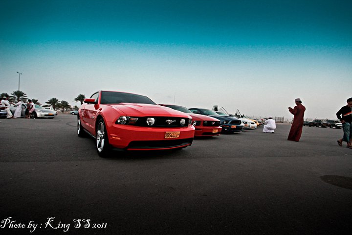 Name:  181614_1884074826305_1374401031_2176304_1227079_n.jpg
Views: 779
Size:  53.1 KB