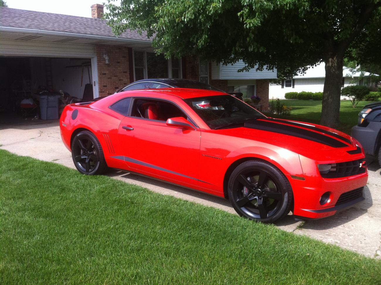 Name:  fresh paint.jpg
Views: 6675
Size:  224.3 KB