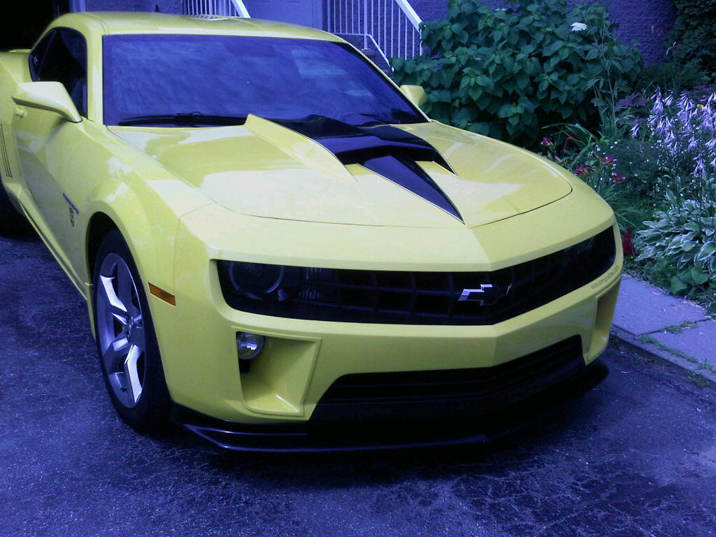 Name:  nickey01.jpg
Views: 998
Size:  146.8 KB