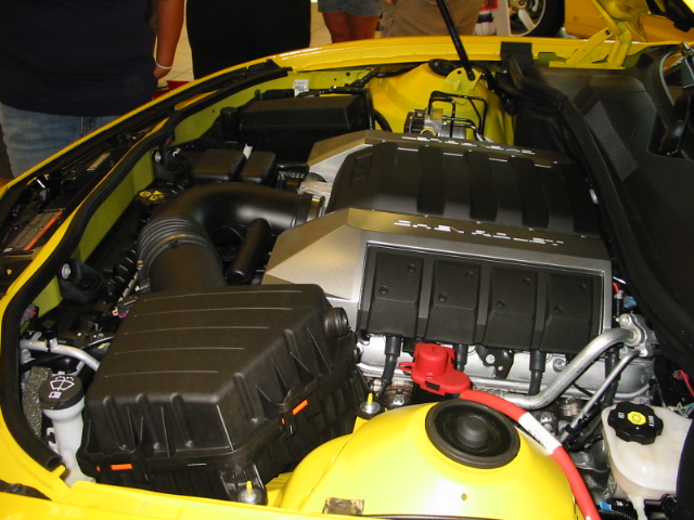 Name:  April May2009 045.JPG
Views: 4624
Size:  182.4 KB