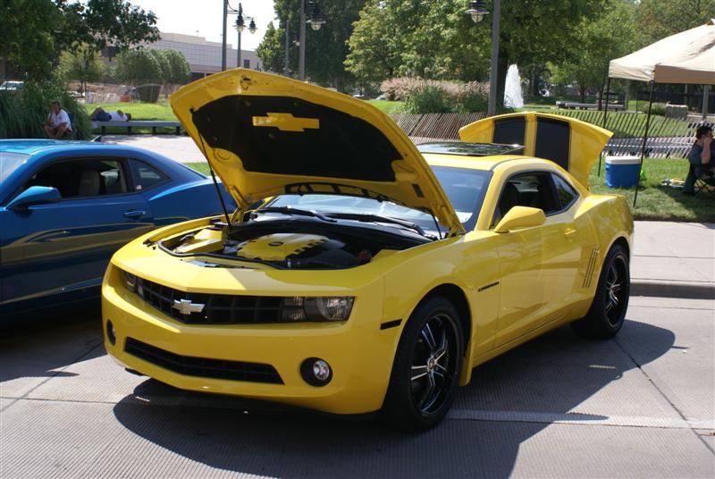 Name:  DSC06282 (Medium).JPG
Views: 867
Size:  80.8 KB