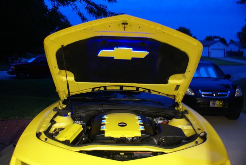 Name:  DSC05962 (Medium).JPG
Views: 735
Size:  54.9 KB