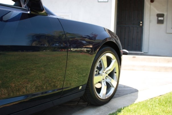 Name:  n3435363_42377889_4588454.jpg
Views: 577
Size:  39.1 KB