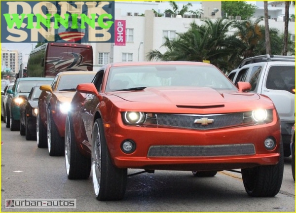 Name:  camarolineupsouthbeachdonksnob1.jpg
Views: 3453
Size:  139.0 KB