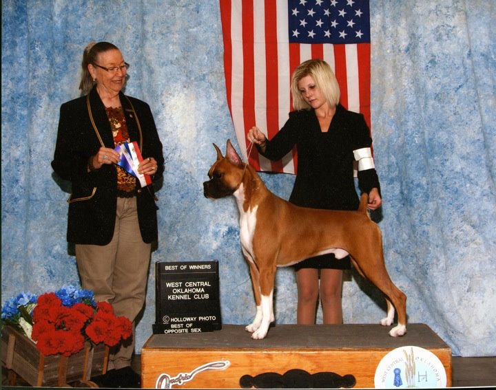 Name:  375211_1608509949644_1743080952_874411_174365758_n.jpg
Views: 591
Size:  98.8 KB