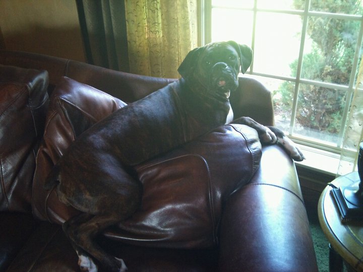 Name:  248061_10150192547864007_643534006_6890233_3245089_n.jpg
Views: 577
Size:  65.4 KB