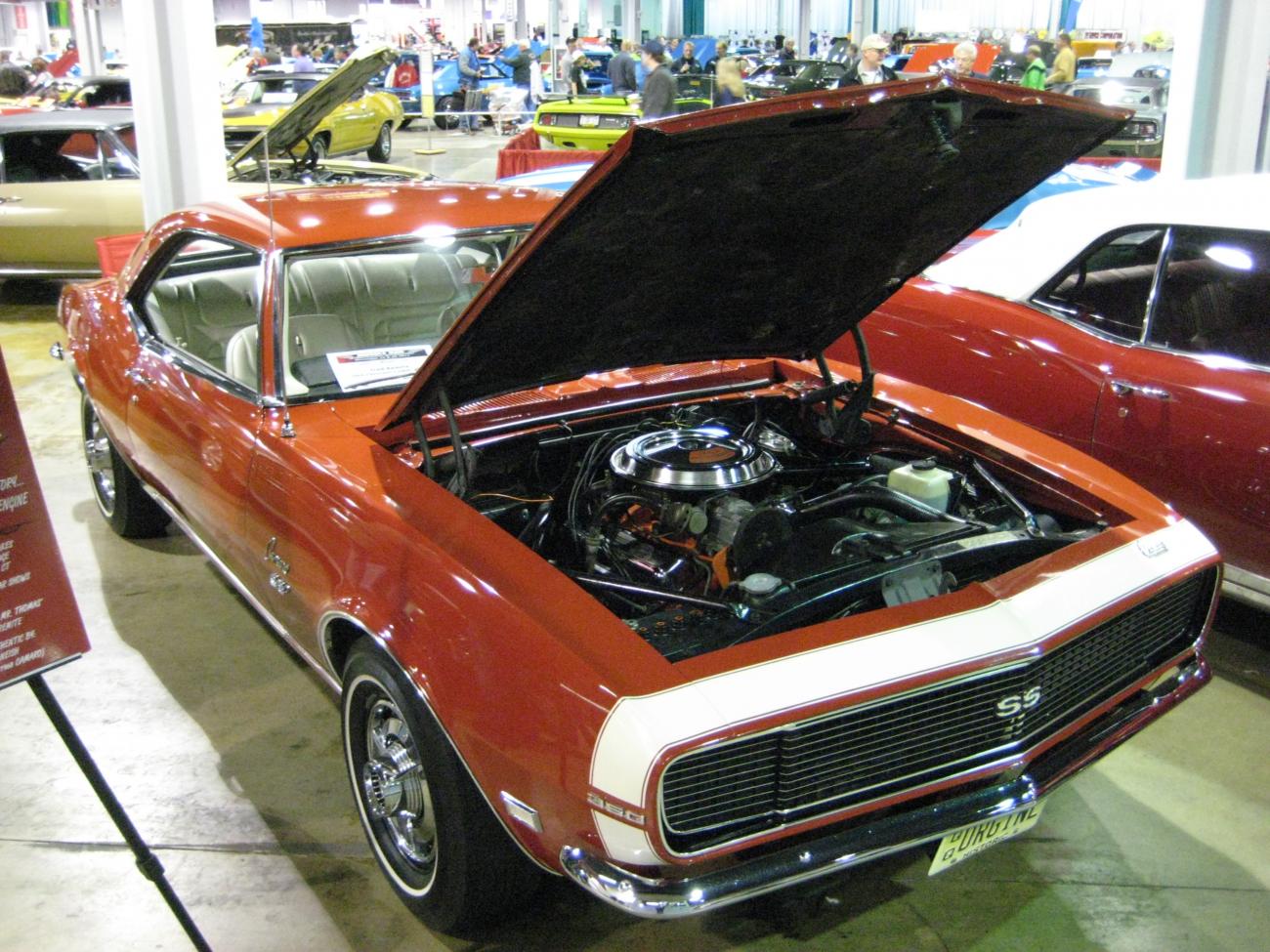 Name:  IMG_0487.jpg
Views: 688
Size:  211.8 KB