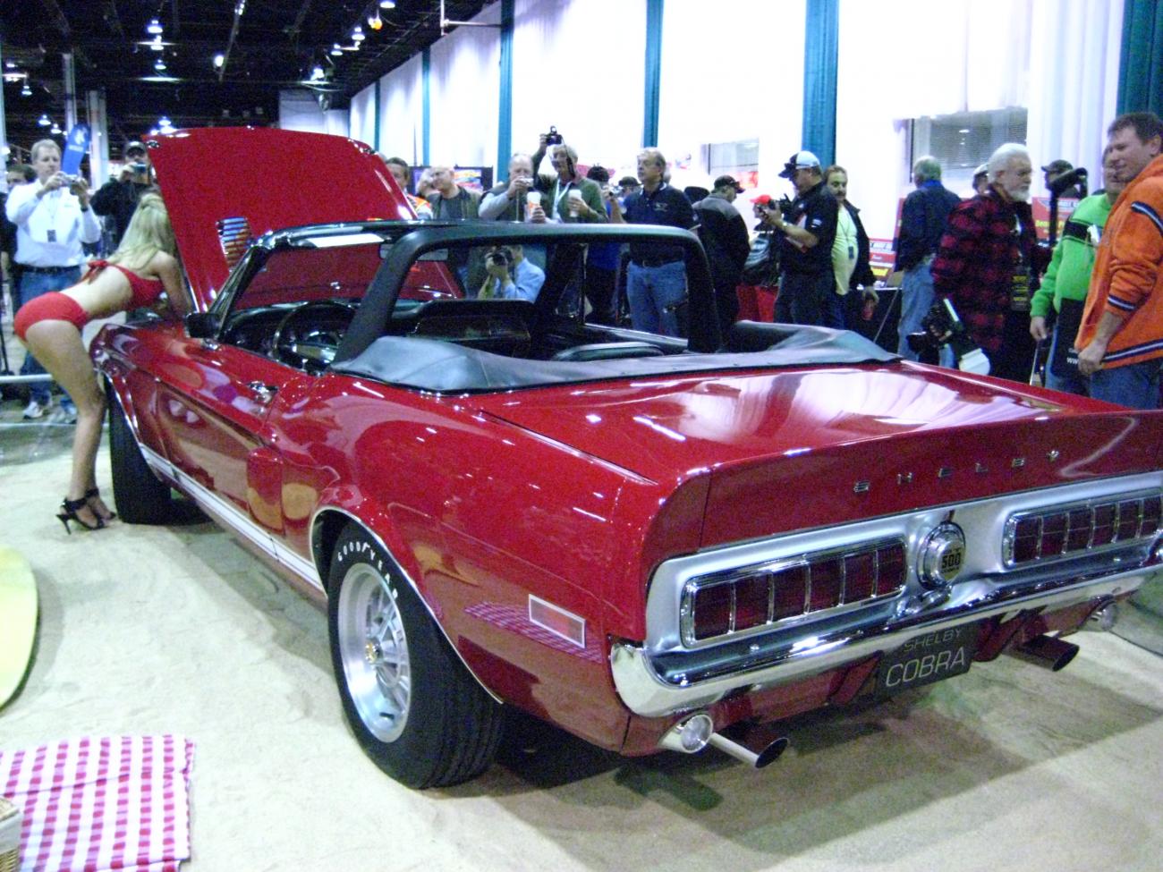 Name:  IMG_0218.jpg
Views: 574
Size:  202.0 KB