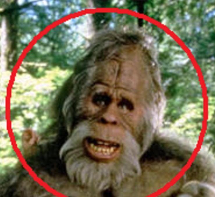 Name:  harry detail 03.jpg
Views: 808
Size:  87.0 KB