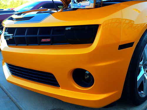 Name:  Bee close up.jpg
Views: 9829
Size:  119.7 KB