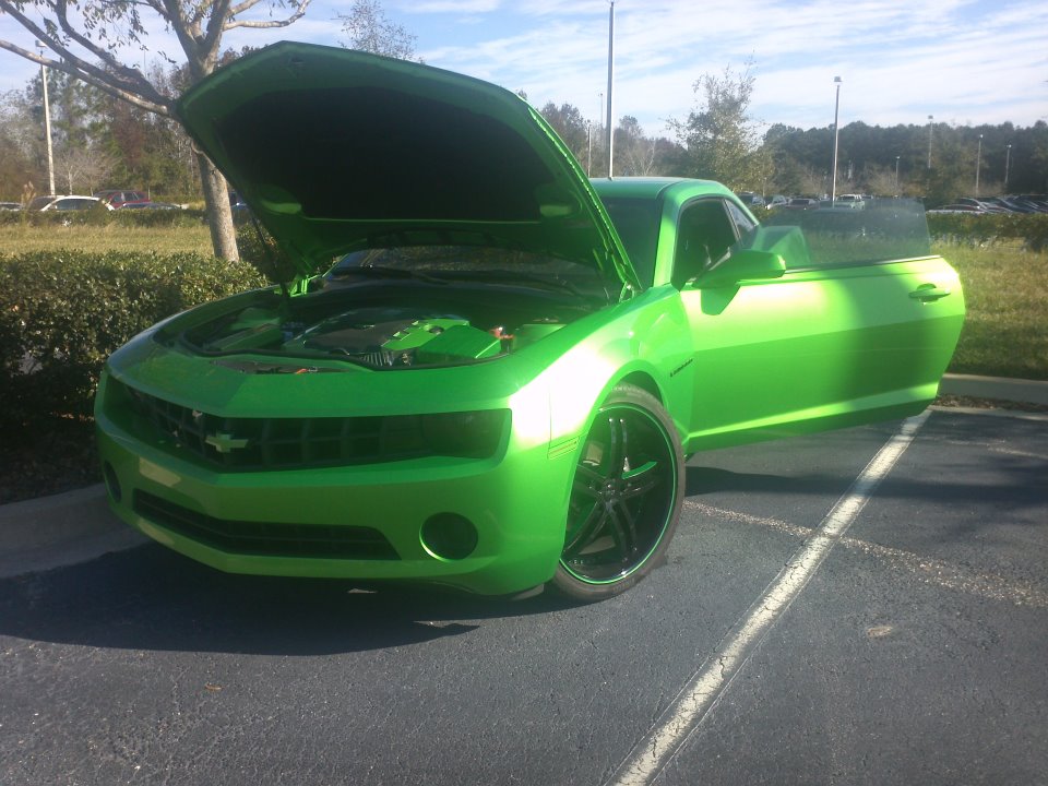 Name:  374819_10150454151157029_689732028_8908265_1033526594_n.jpg
Views: 17269
Size:  127.6 KB