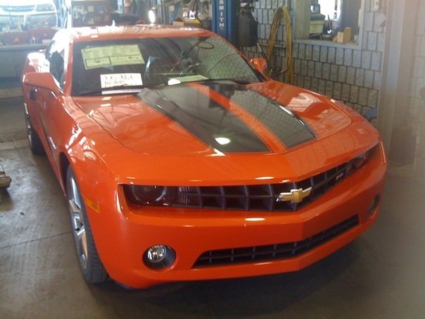 Name:  paige 2.jpg
Views: 509
Size:  49.1 KB