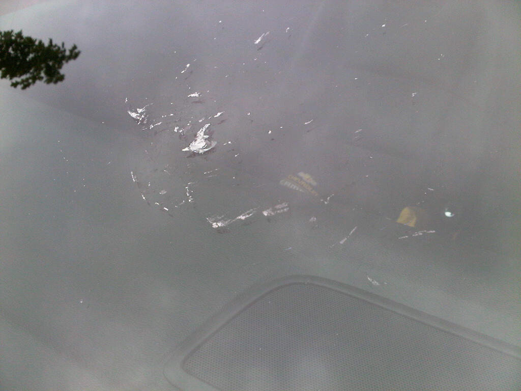 Name:  vandal1.jpg
Views: 1191
Size:  75.6 KB