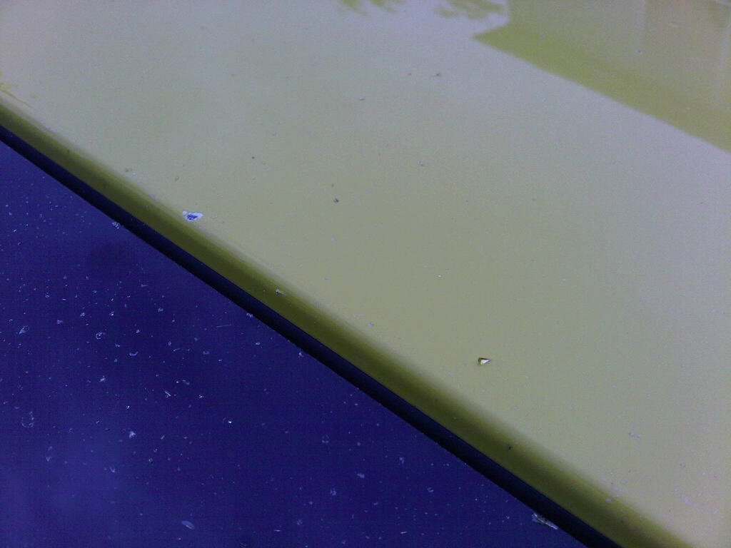 Name:  vandal3.jpg
Views: 1204
Size:  76.3 KB